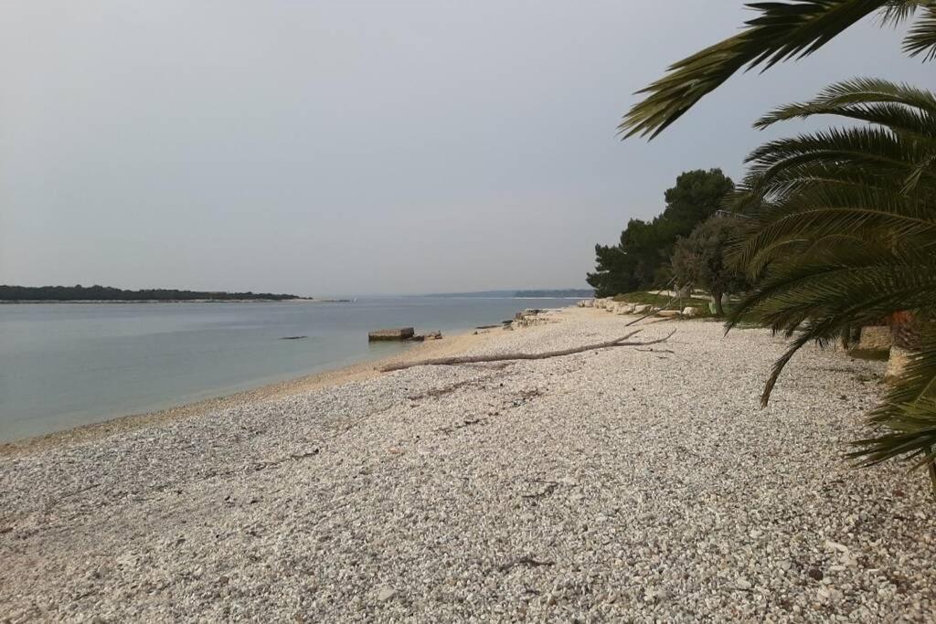 Apartman Near Fazana-500 From The Sea 외부 사진
